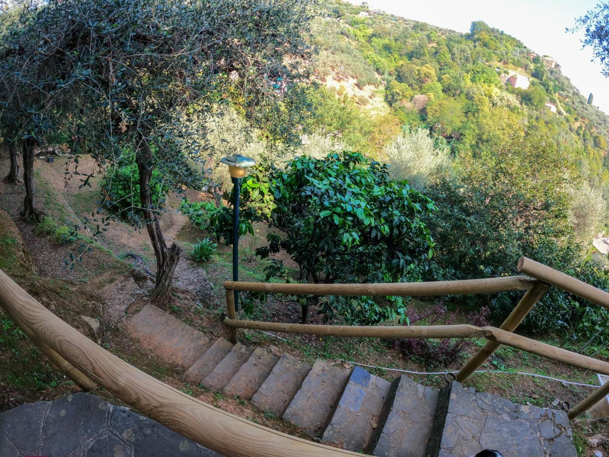 B&B Portofino Bagian luar foto