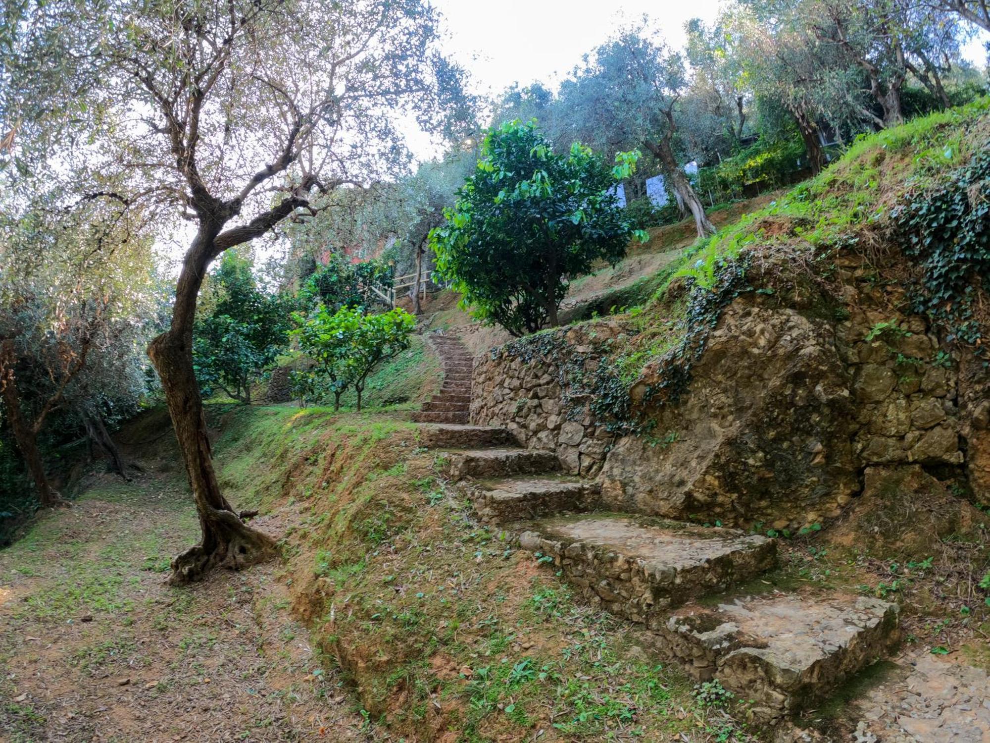 B&B Portofino Bagian luar foto
